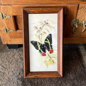 Vintage Framed Watercolor Butterfly Art Print 🦋🦋🦋
